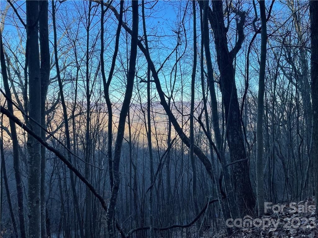 MLS #CAR4003832 image #0