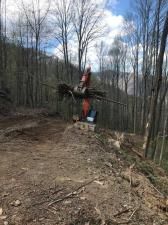 MLS #CAR4005537 image #1