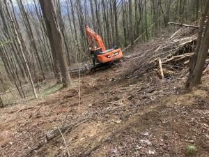 MLS #CAR4005537 image #2