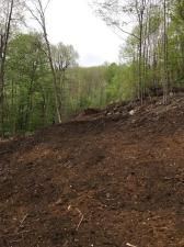 MLS #CAR4005537 image #4