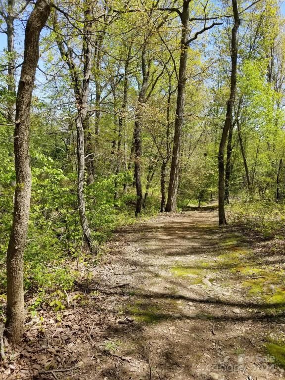 MLS #CAR4007759 image #34