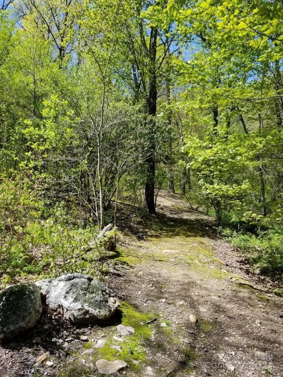 MLS #CAR4007759 image #35