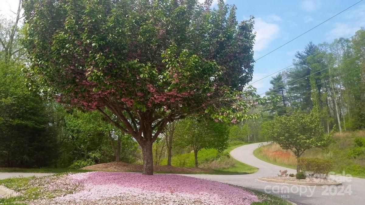 MLS #CAR4007759 image #32