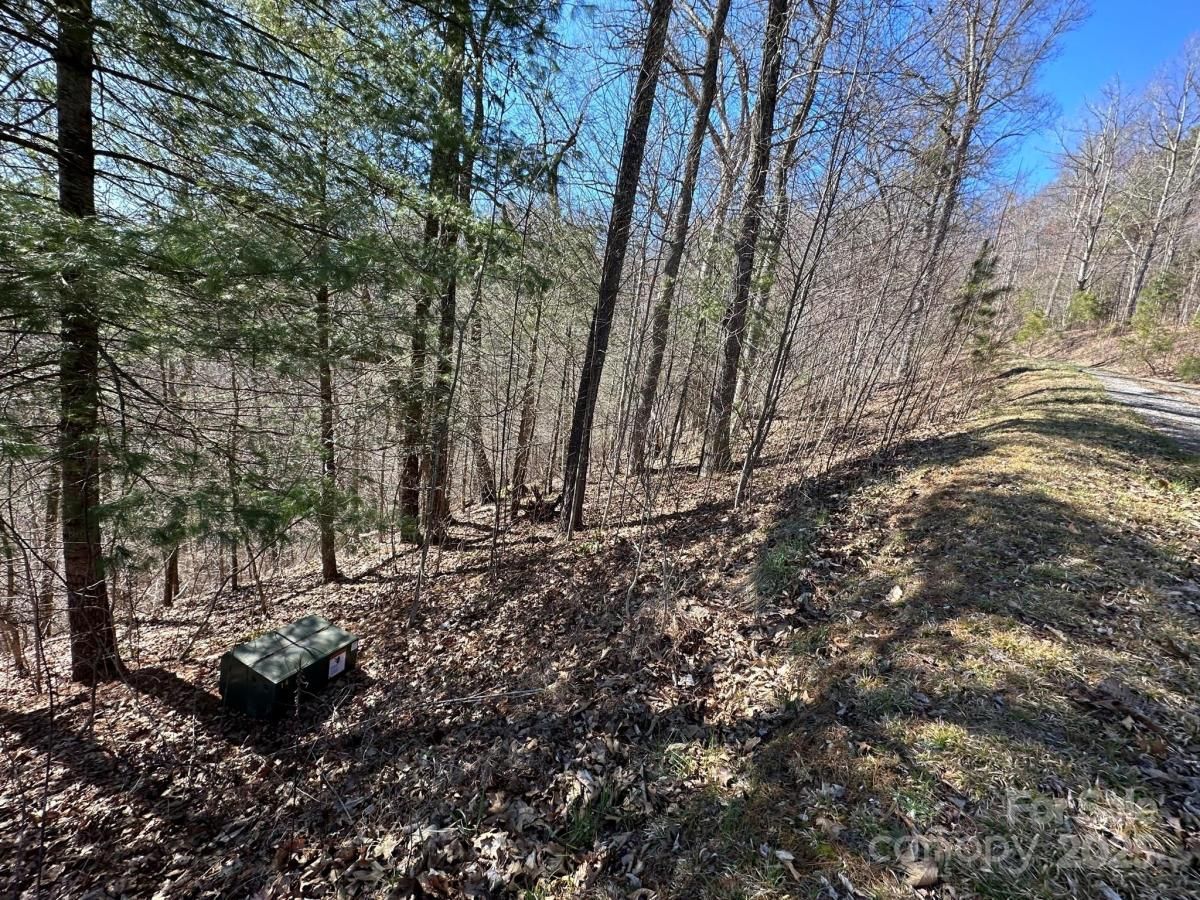 MLS #CAR4008562 image #0