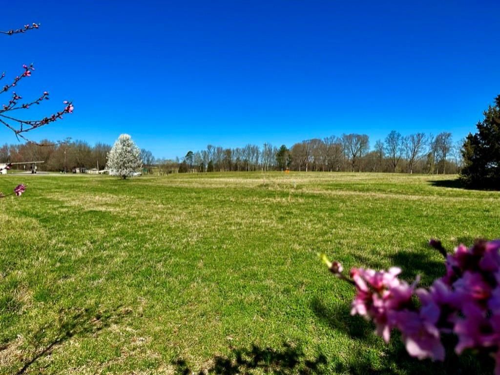 MLS #CAR4009199 image #2