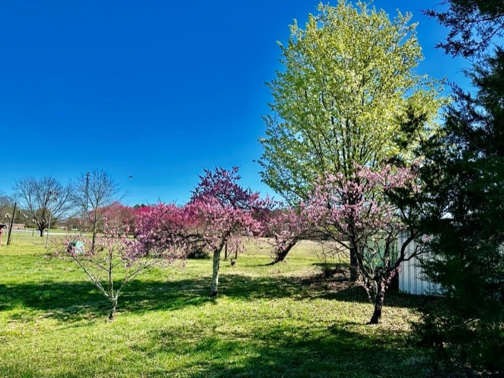 MLS #CAR4009199 image #39