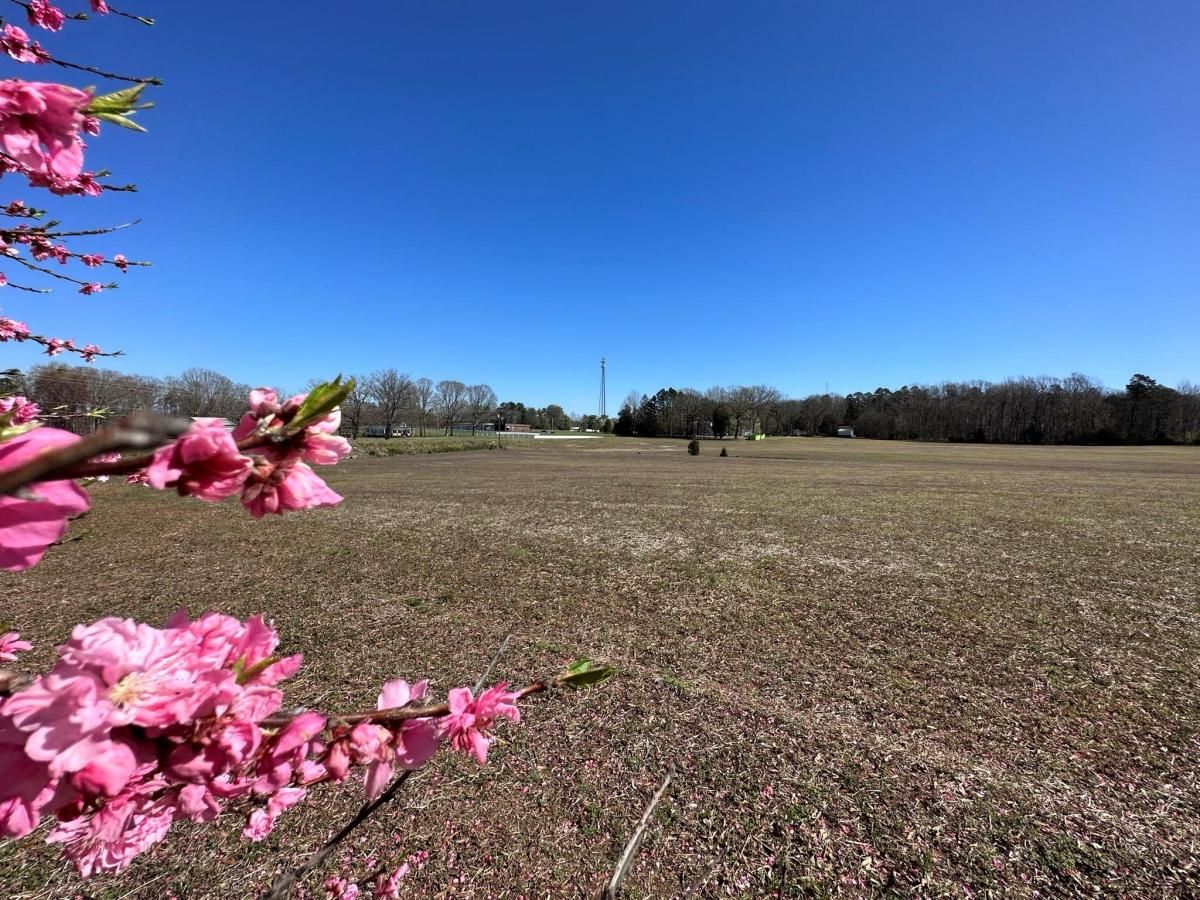 MLS #CAR4009199 image #36