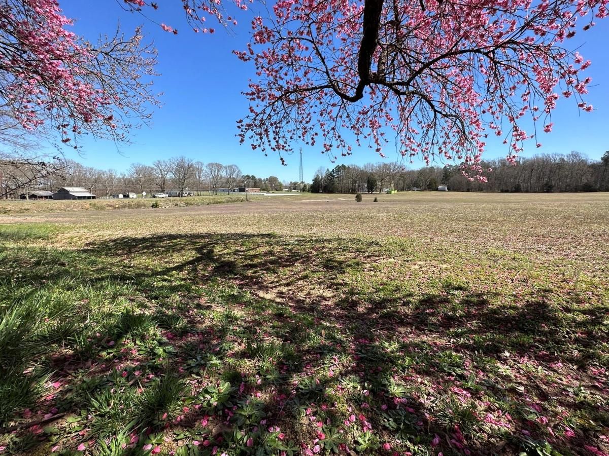 MLS #CAR4009199 image #37