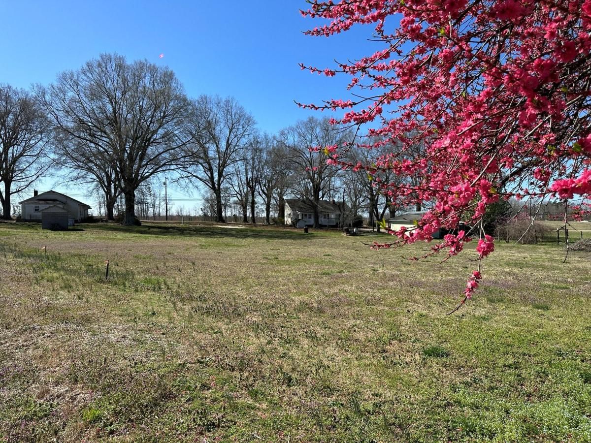 MLS #CAR4009199 image #42