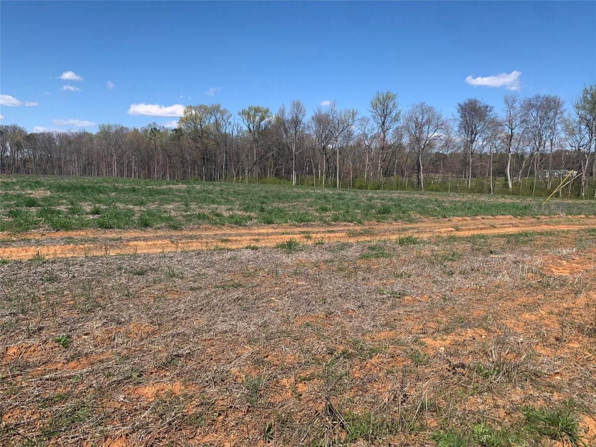 MLS #CAR4010794 image #0