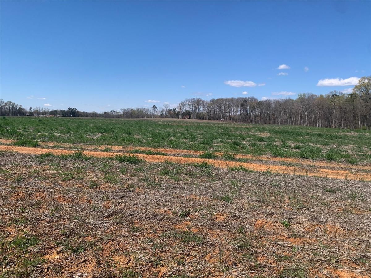 MLS #CAR4010794 image #1