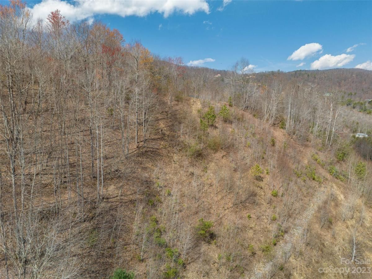 MLS #CAR4012124 image #13