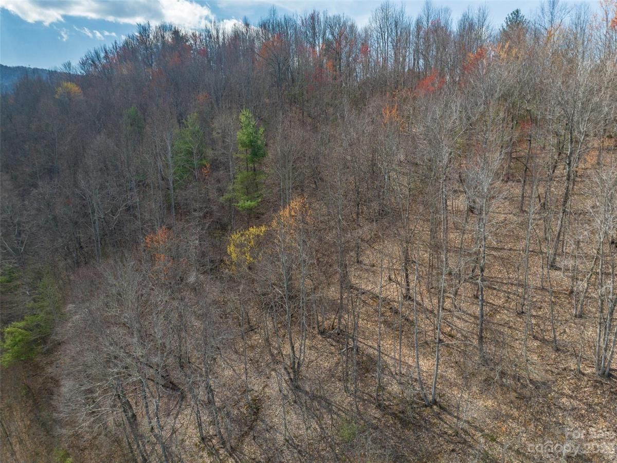 MLS #CAR4012124 image #14