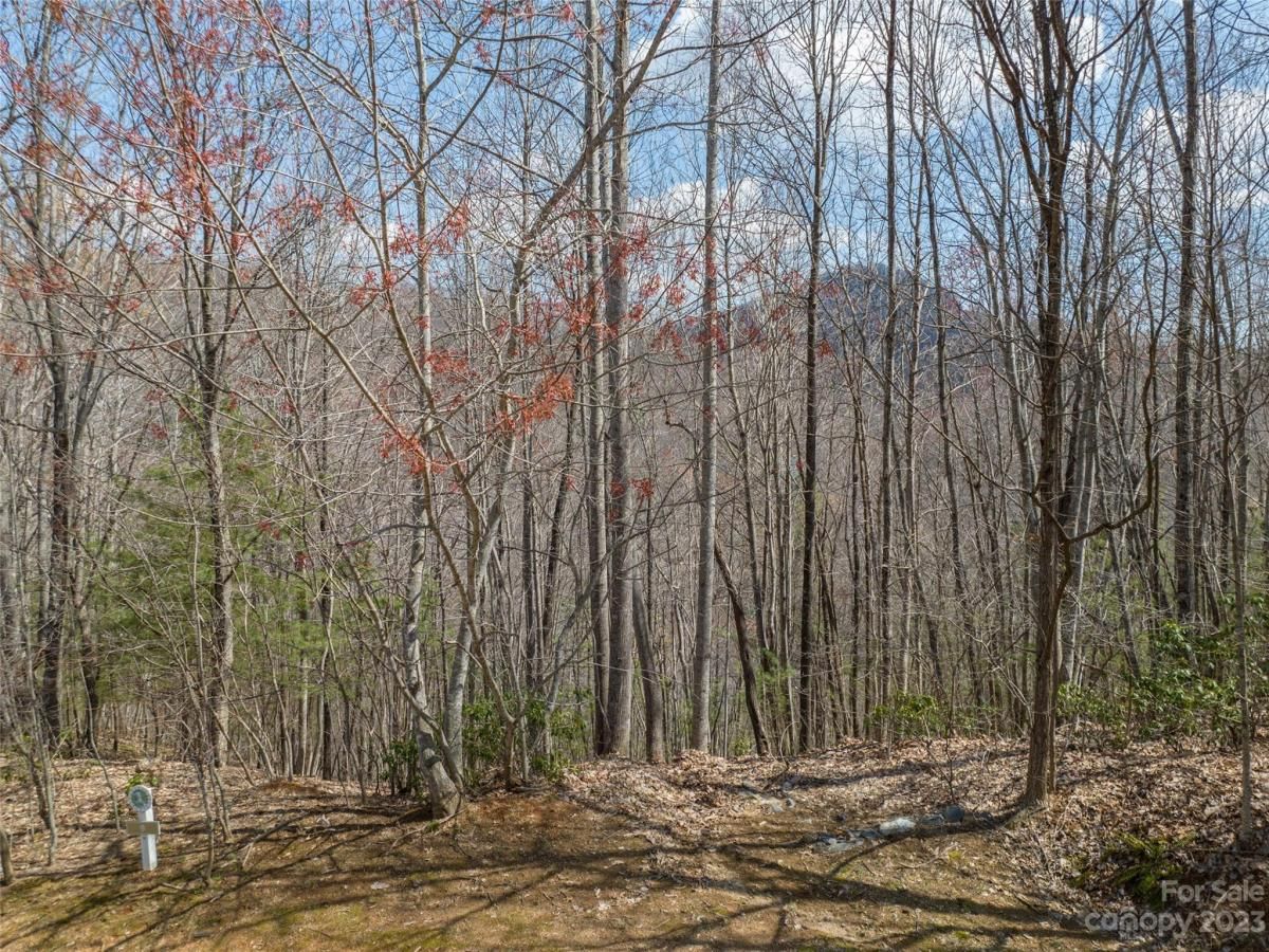 MLS #CAR4012124 image #22