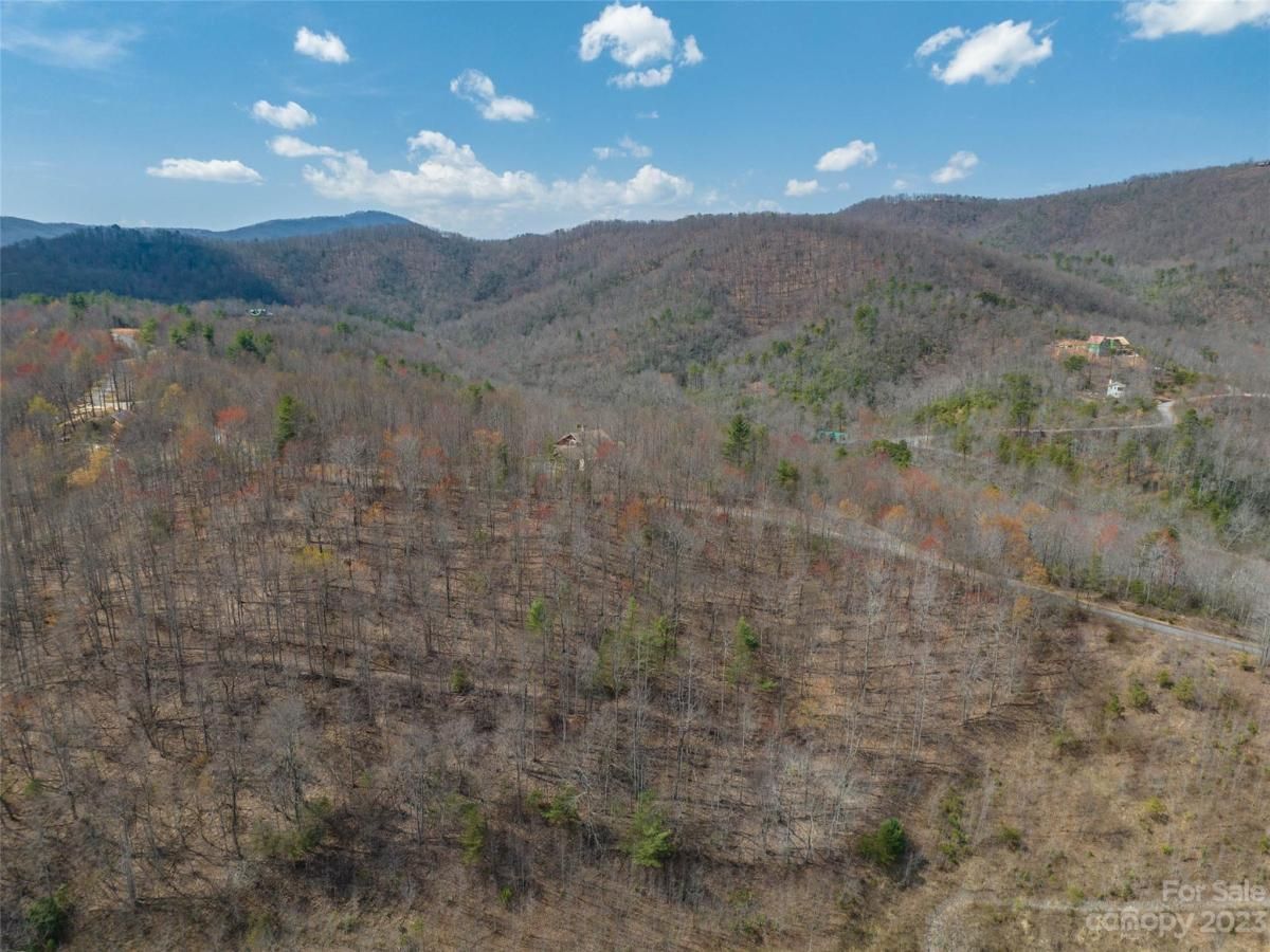 MLS #CAR4012124 image #5