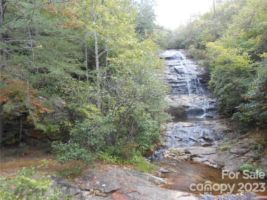 MLS #CAR4016720 image #4