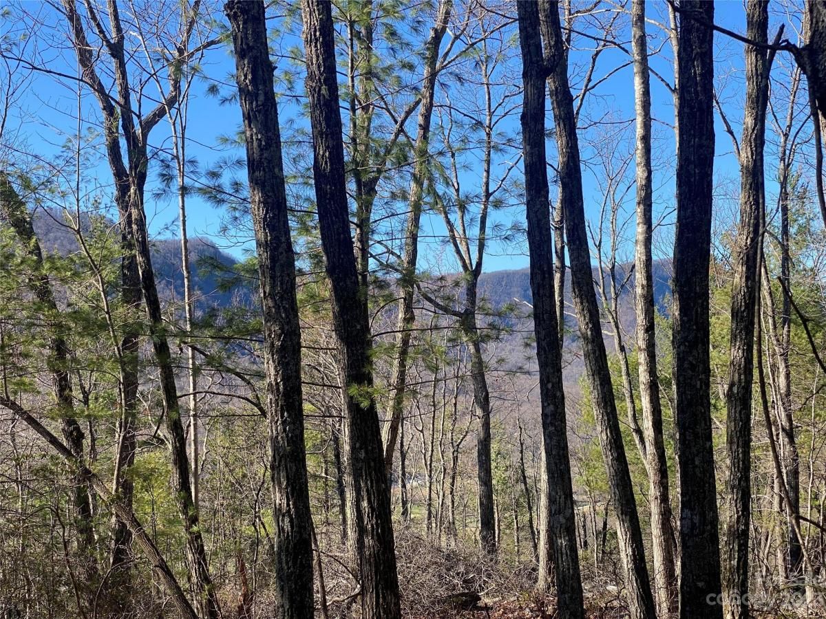 MLS #CAR4016720 image #0