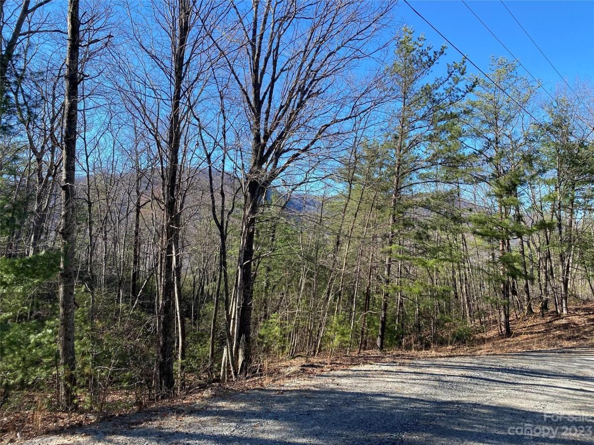 MLS #CAR4016720 image #10