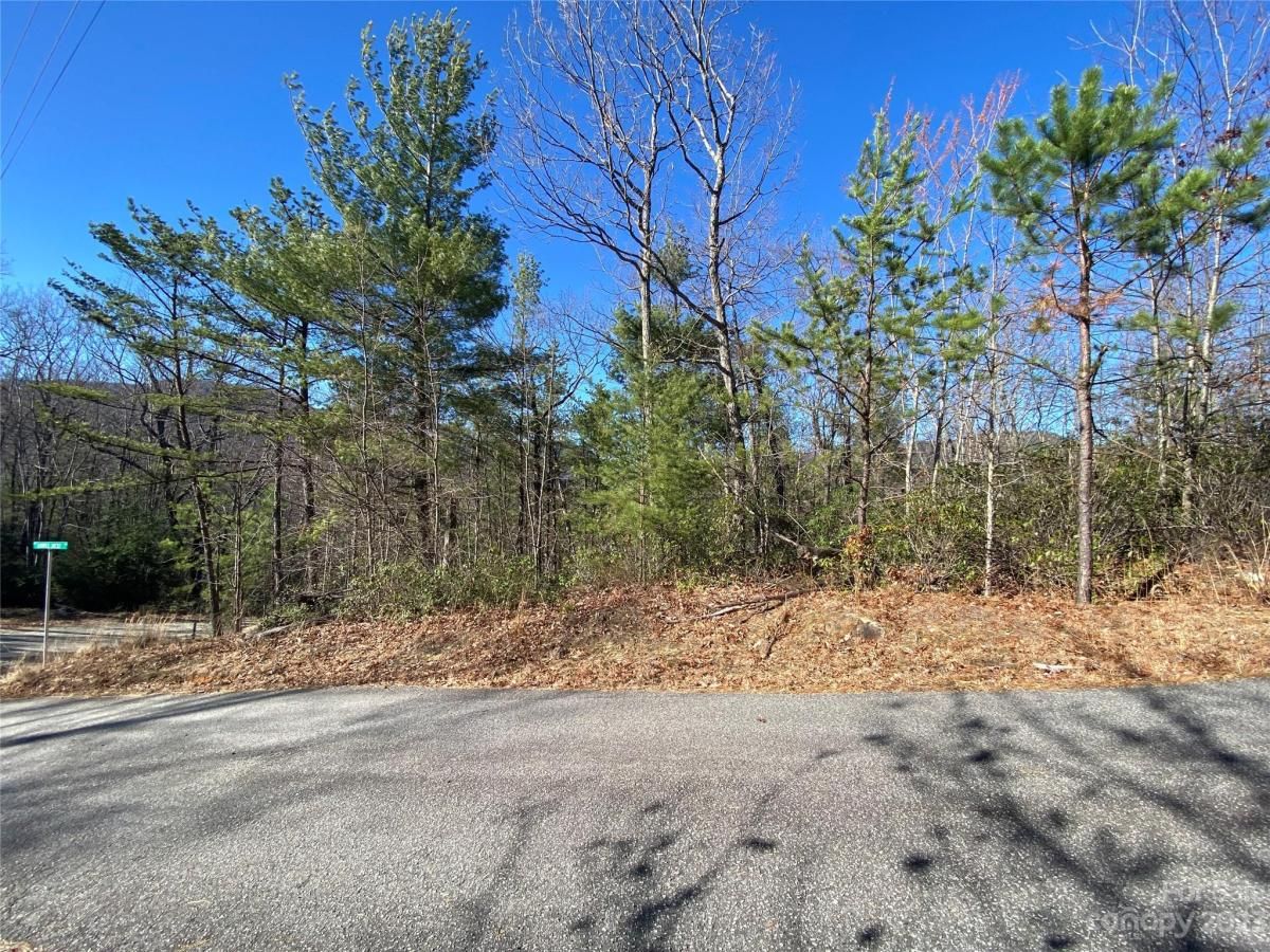 MLS #CAR4016720 image #11