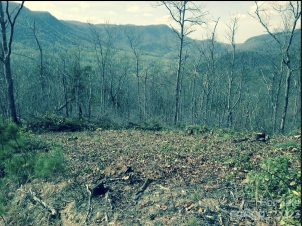 MLS #CAR4016720 image #13