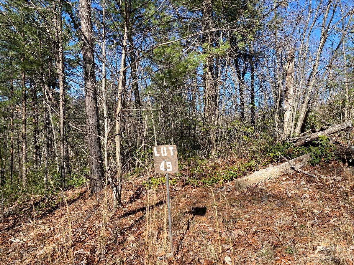 MLS #CAR4016720 image #14