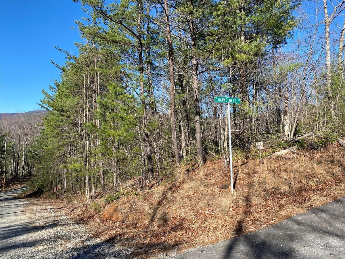 MLS #CAR4016720 image #5