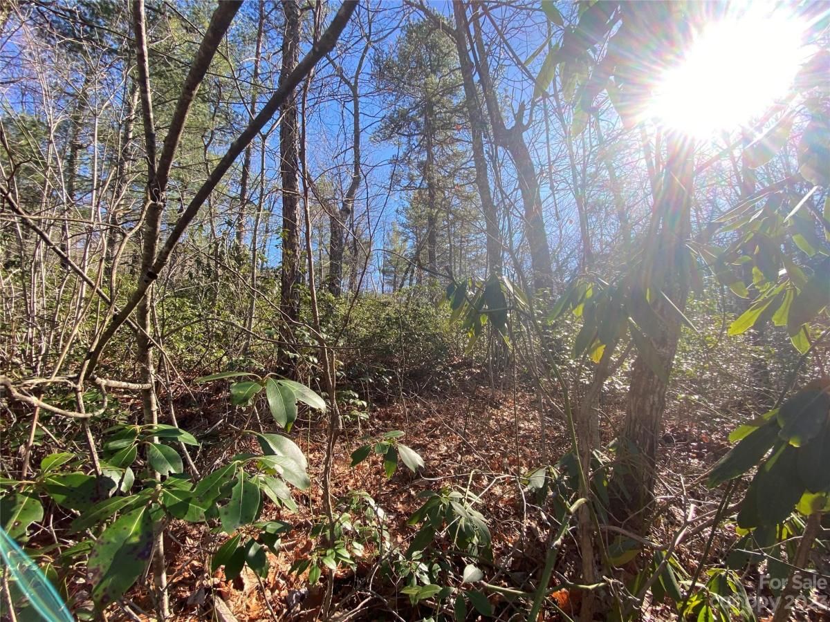 MLS #CAR4016720 image #6