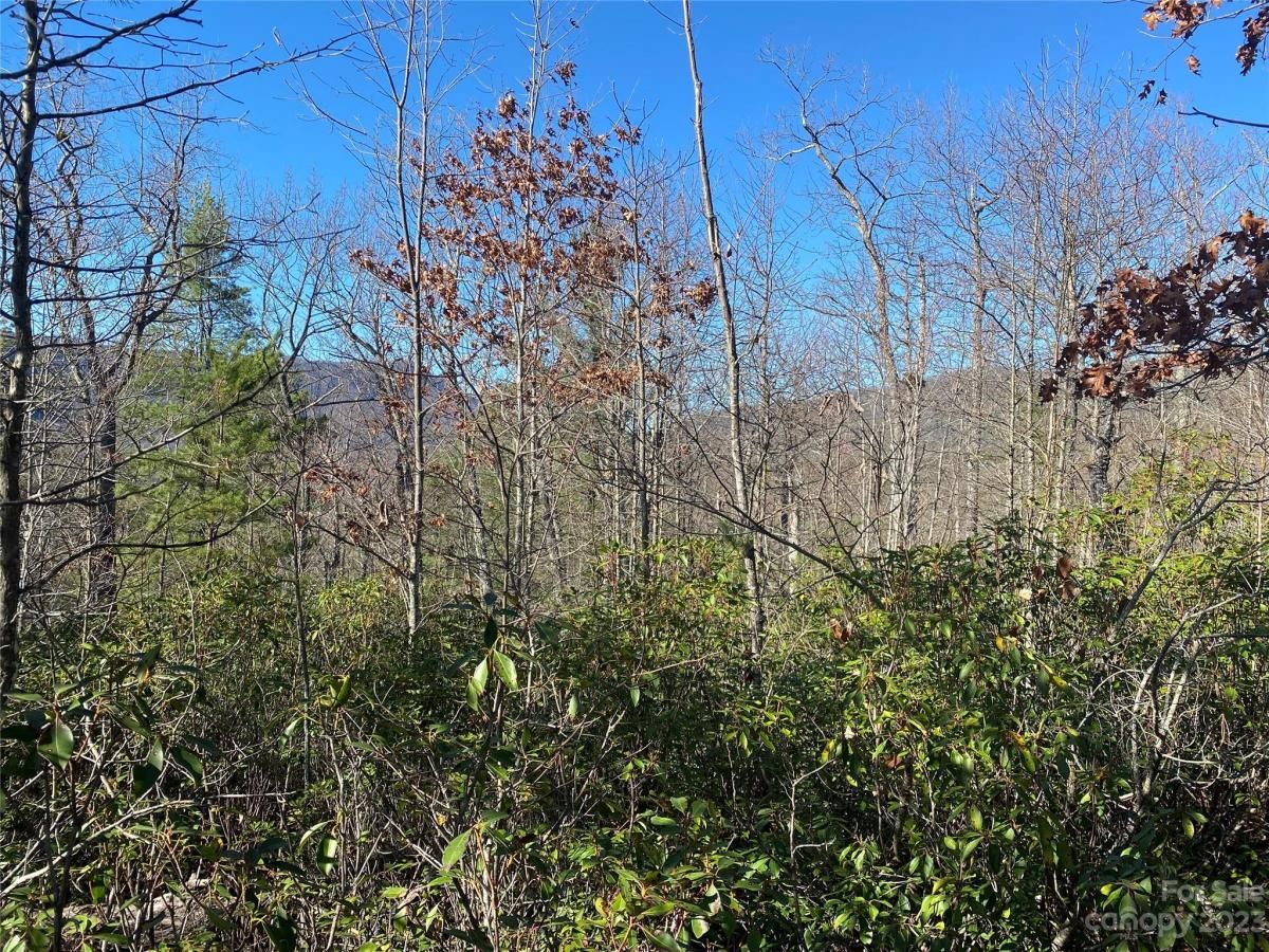 MLS #CAR4016720 image #7