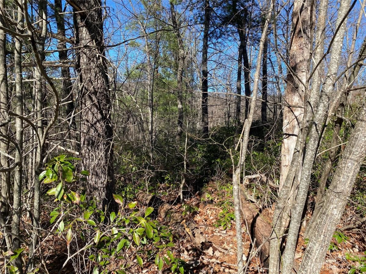 MLS #CAR4016720 image #8