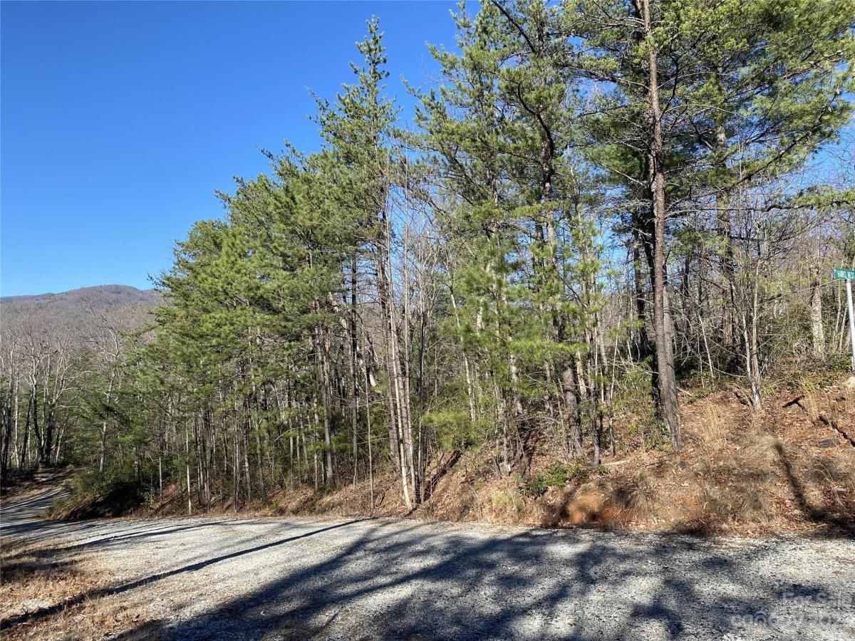 MLS #CAR4016720 image #9