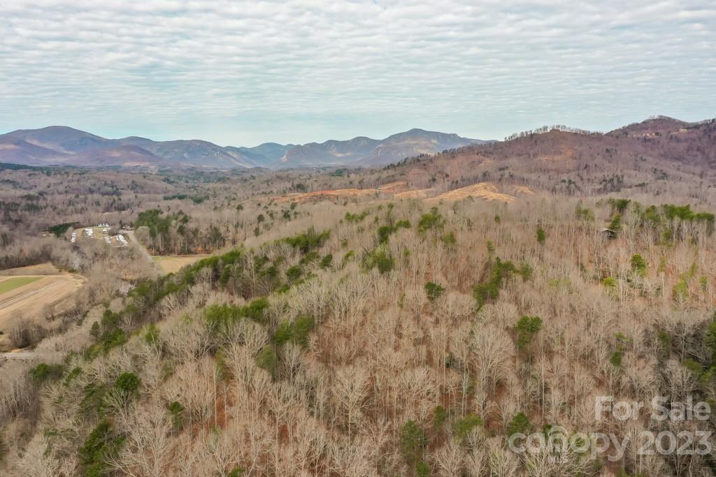 MLS #CAR4018522 image #2