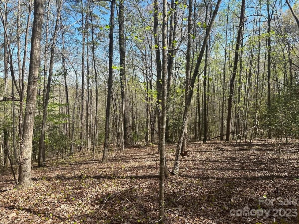 MLS #CAR4018522 image #10