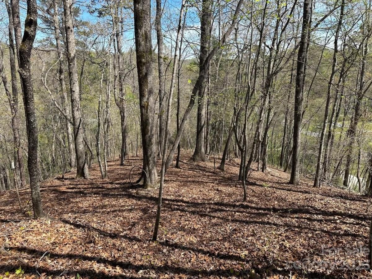 MLS #CAR4018522 image #11