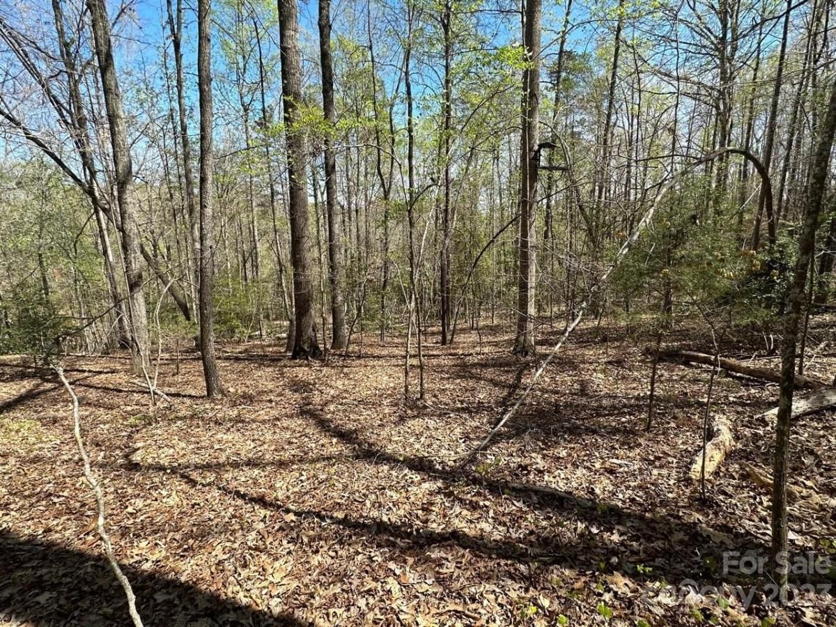 MLS #CAR4018522 image #12