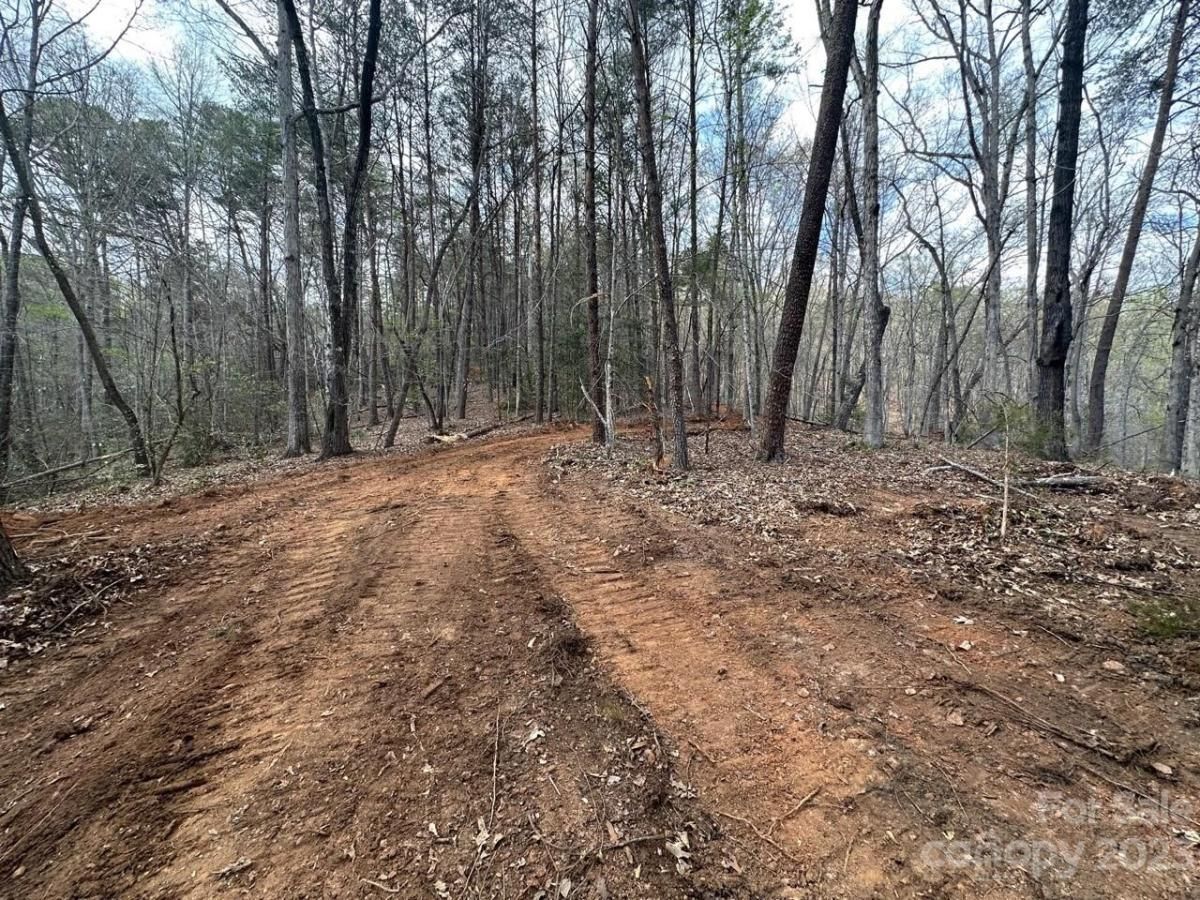 MLS #CAR4018522 image #13