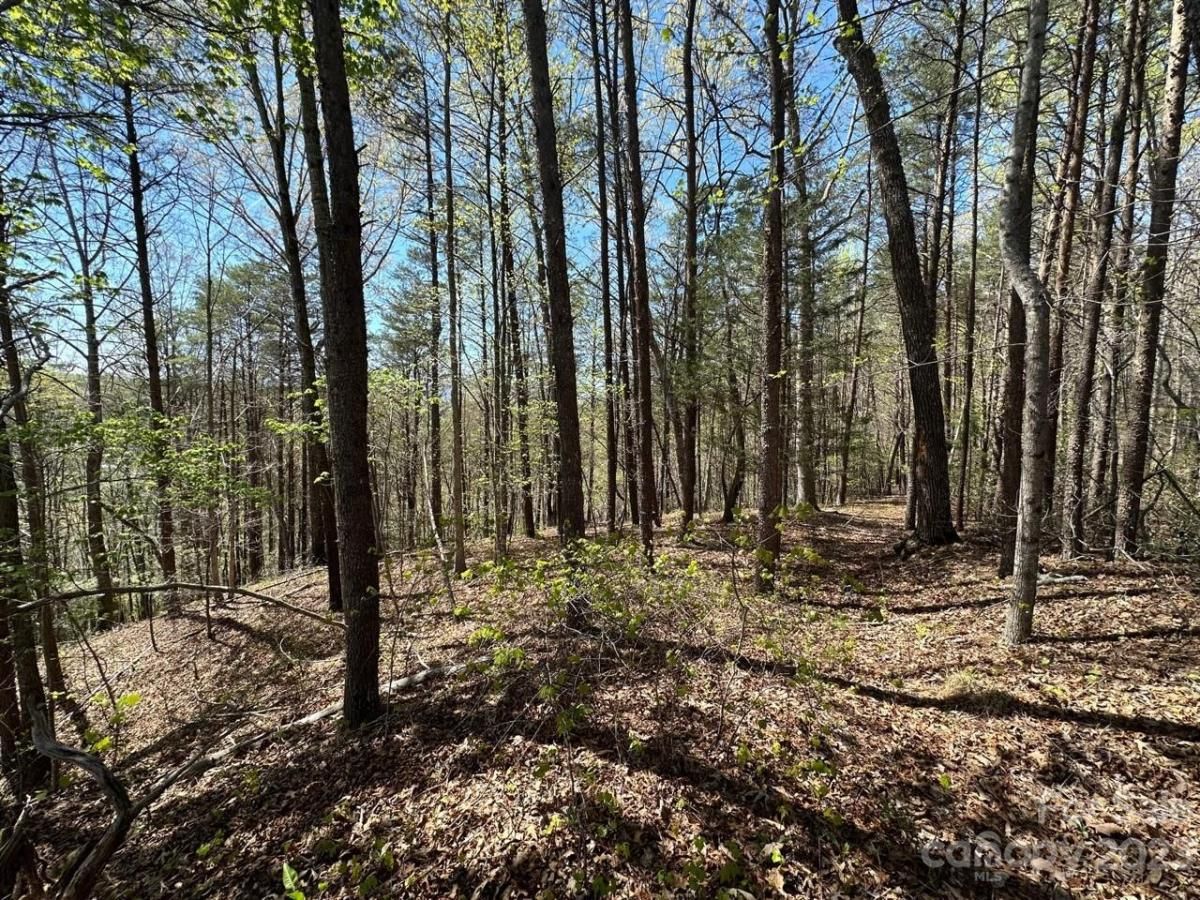 MLS #CAR4018522 image #14