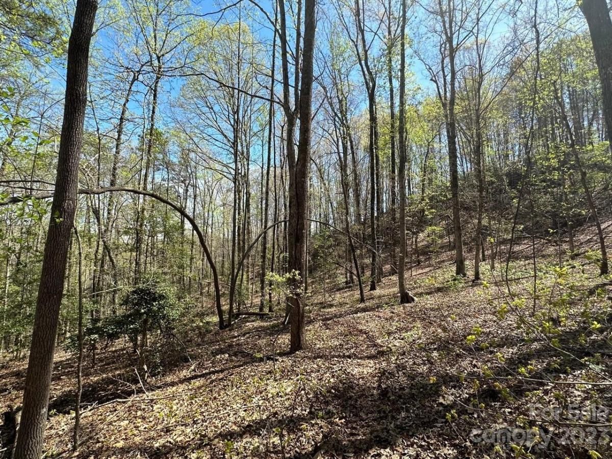 MLS #CAR4018522 image #15