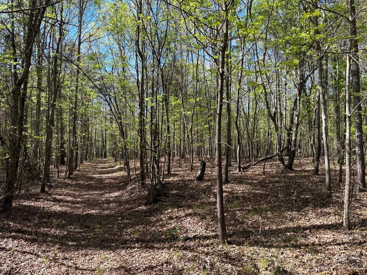 MLS #CAR4018522 image #19