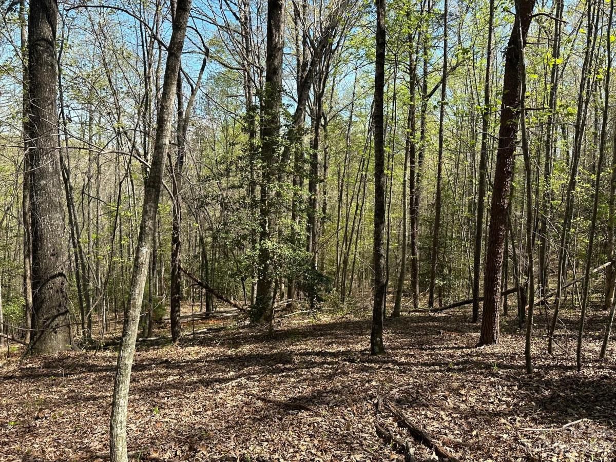 MLS #CAR4018522 image #20