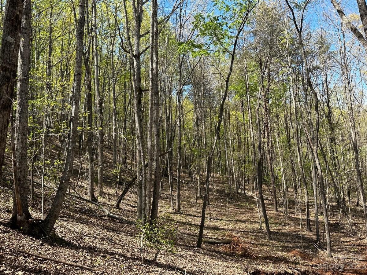 MLS #CAR4018522 image #21