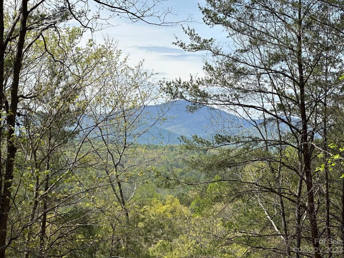 MLS #CAR4018522 image #22