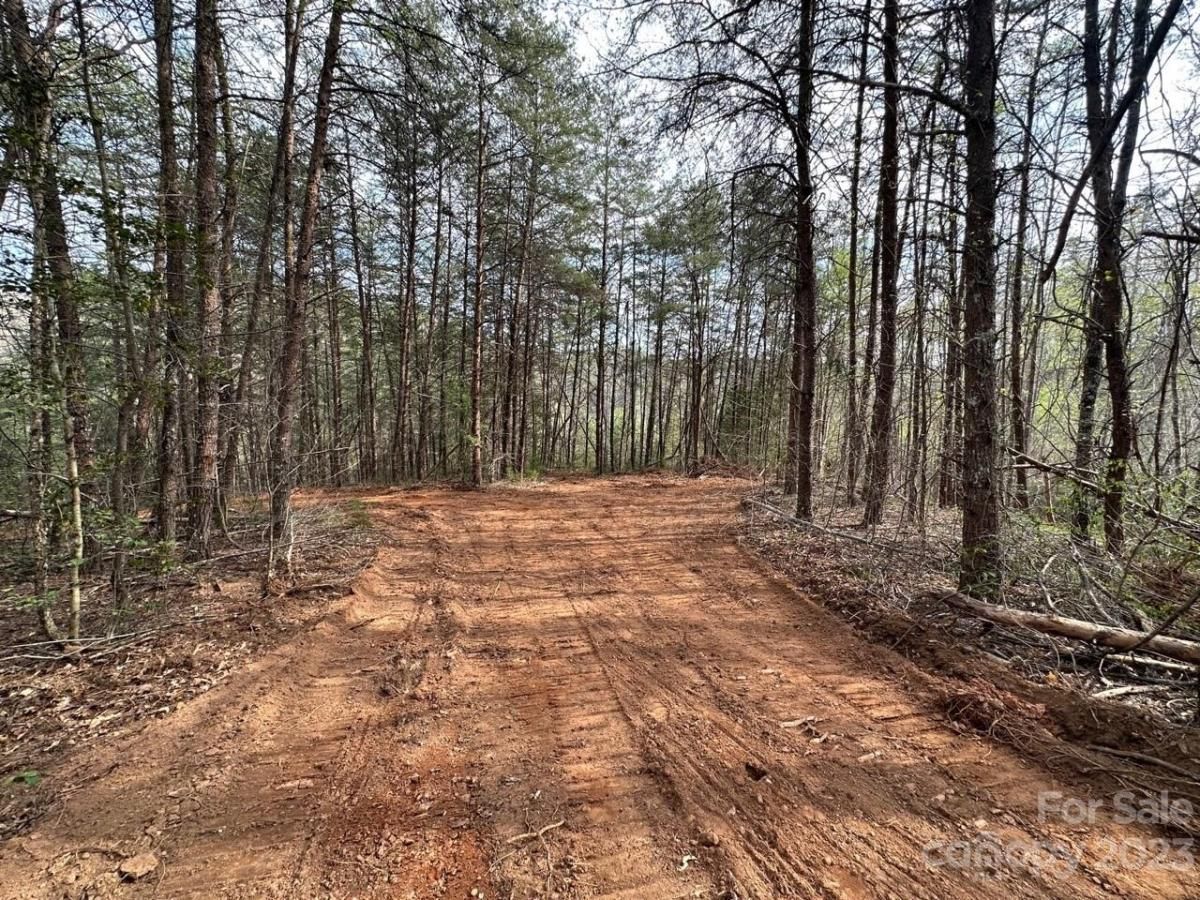 MLS #CAR4018522 image #4