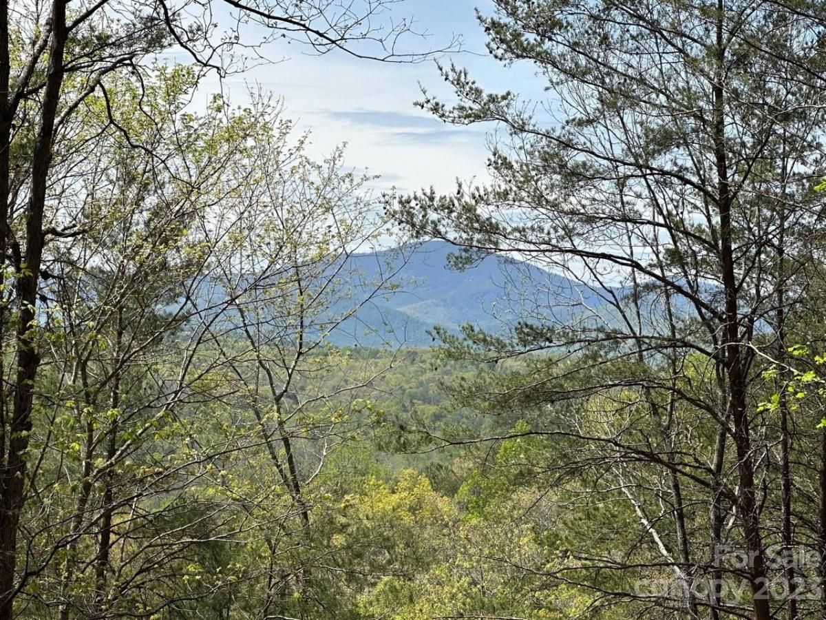 MLS #CAR4018522 image #5