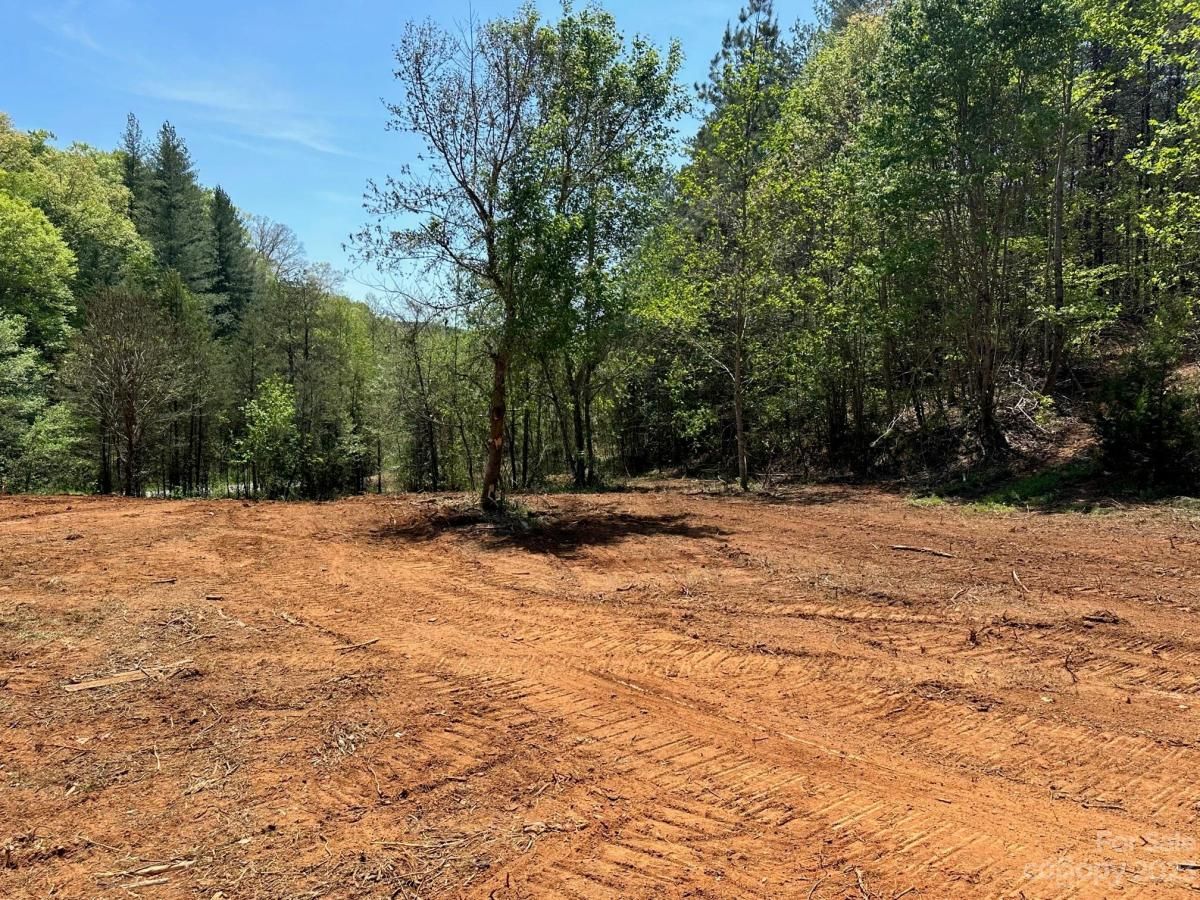 MLS #CAR4018522 image #6