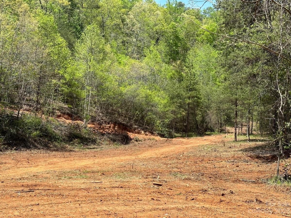 MLS #CAR4018522 image #8