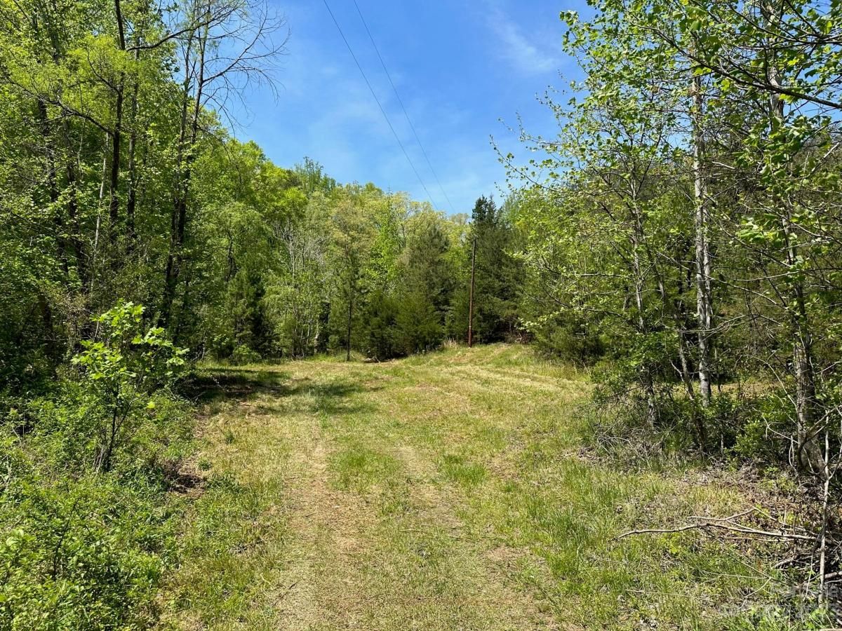 MLS #CAR4018522 image #9