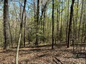 MLS #CAR4018522 image #16