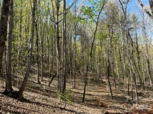 MLS #CAR4018522 image #17