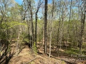 MLS #CAR4018522 image #18