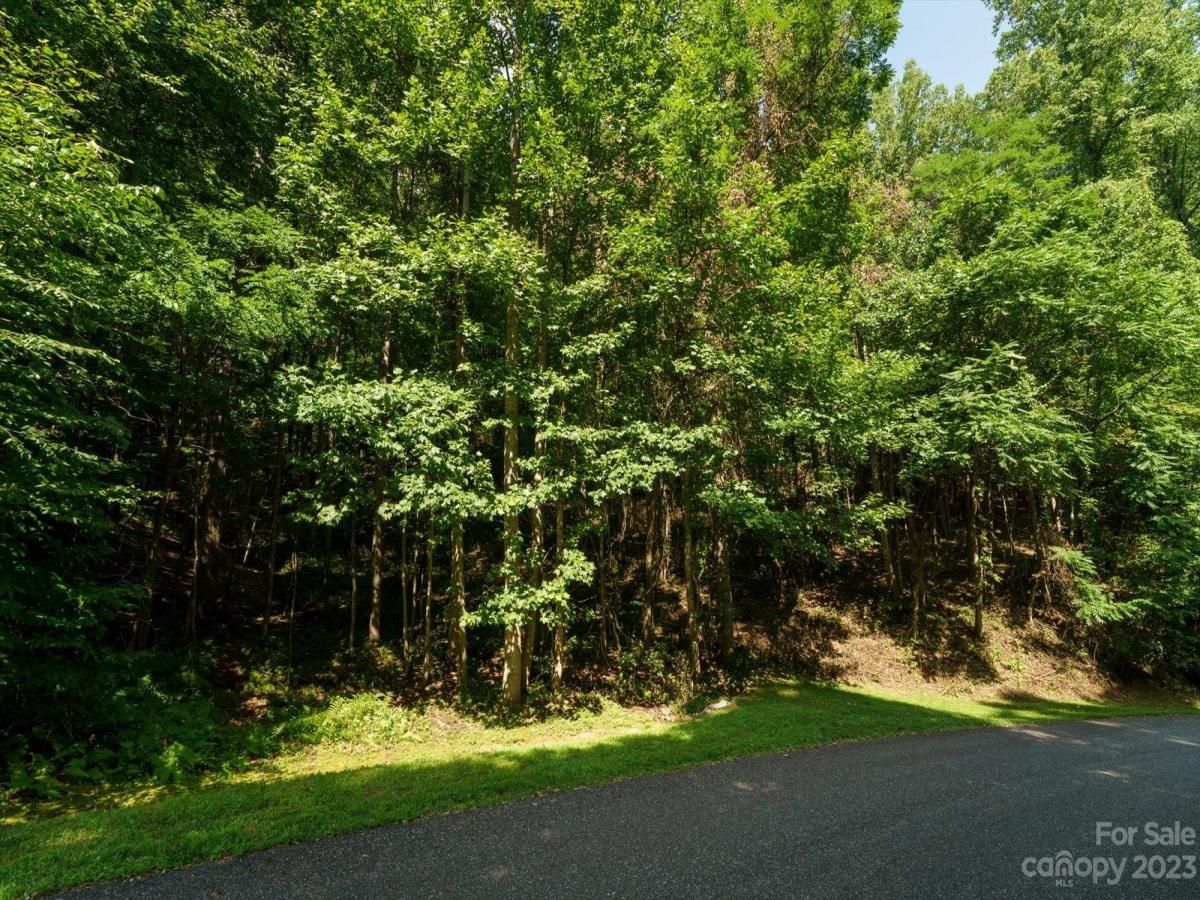 MLS #CAR4021786 image #11